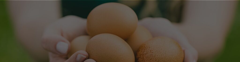 Egg Farmers of Canada entrusts CRG to unscramble its data for forecasting price trends
