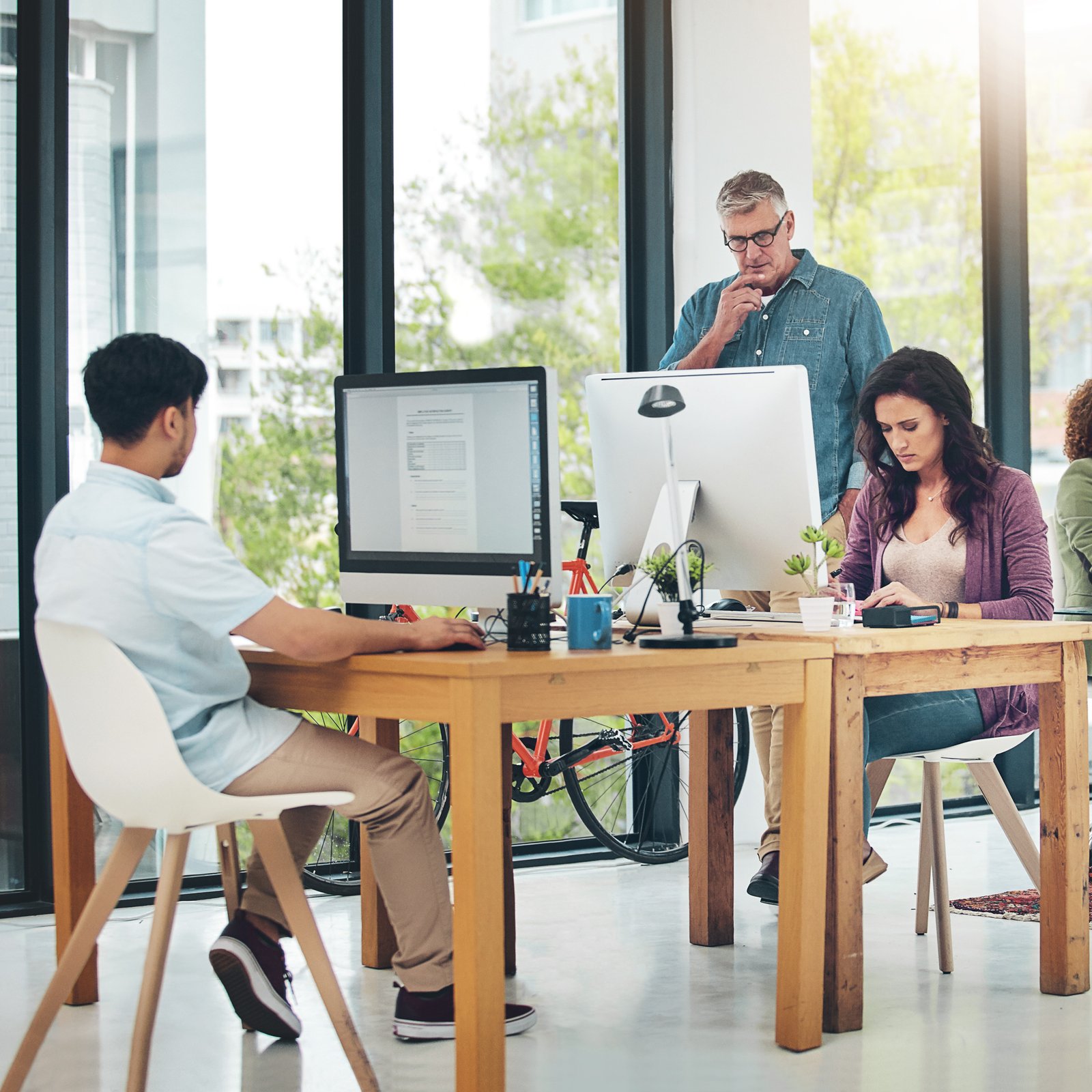 IT / ITES